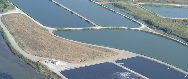 Abwasserteiche in Frankreich (Foto: FUCHS)